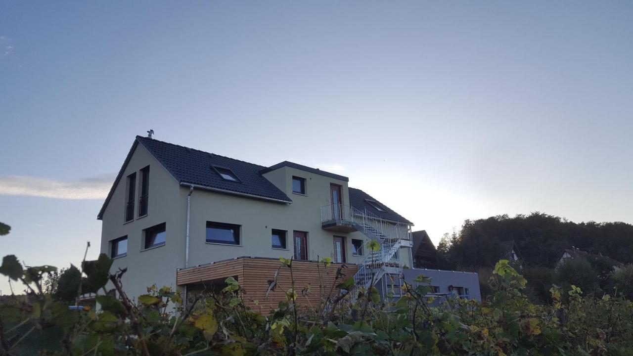 Gaestehaus Casa Luna - Paradiesische Ferienwohnungen Am Kaiserstuhl! Bischoffingen Екстериор снимка