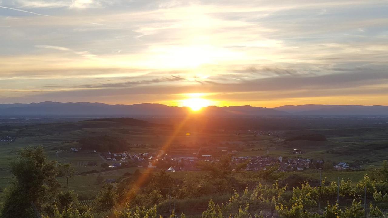 Gaestehaus Casa Luna - Paradiesische Ferienwohnungen Am Kaiserstuhl! Bischoffingen Екстериор снимка