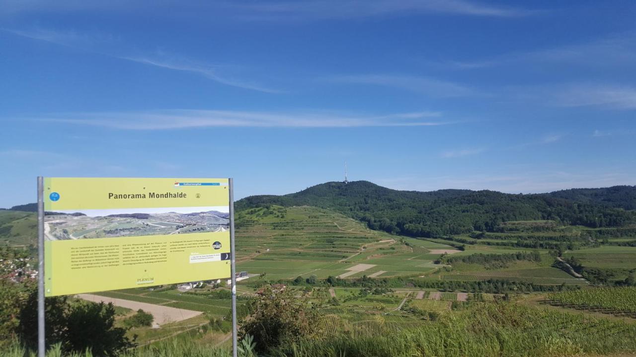 Gaestehaus Casa Luna - Paradiesische Ferienwohnungen Am Kaiserstuhl! Bischoffingen Екстериор снимка