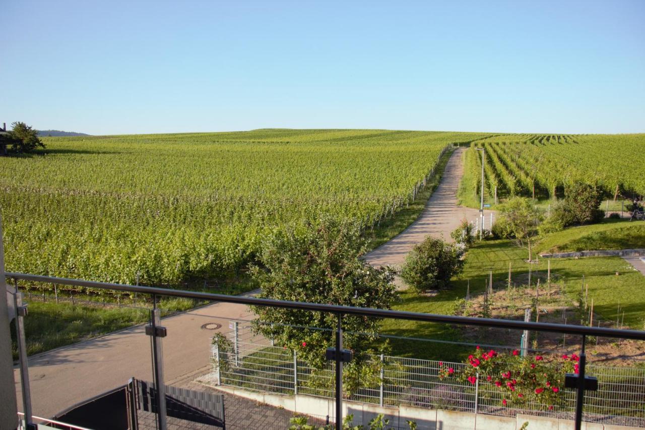 Gaestehaus Casa Luna - Paradiesische Ferienwohnungen Am Kaiserstuhl! Bischoffingen Екстериор снимка