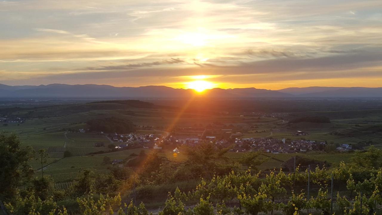 Gaestehaus Casa Luna - Paradiesische Ferienwohnungen Am Kaiserstuhl! Bischoffingen Екстериор снимка