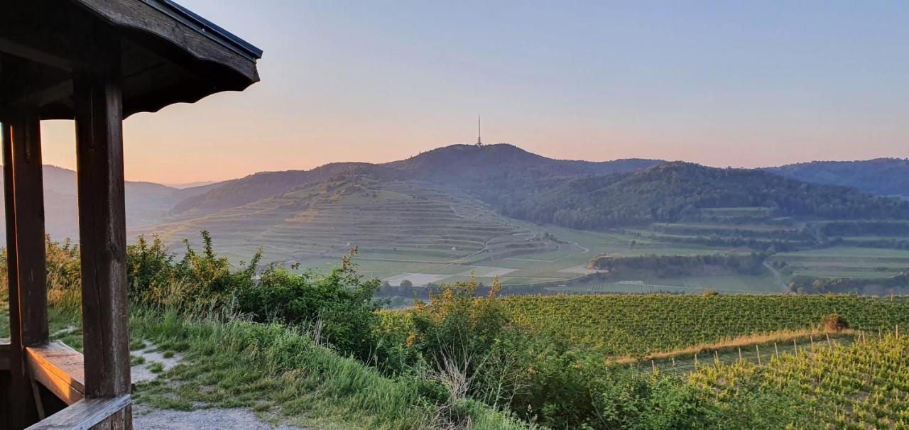 Gaestehaus Casa Luna - Paradiesische Ferienwohnungen Am Kaiserstuhl! Bischoffingen Екстериор снимка